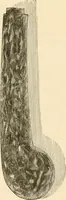 An illustration from Pottery and porcelain of all times and nations : with tables of factory and artists' marks for the use of collectors (1878)