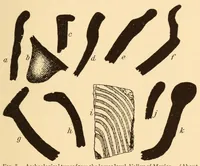 An illustration from Pottery types and their sequence in El Salvador (1927)