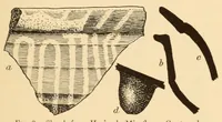 An illustration from Pottery types and their sequence in El Salvador (1927)