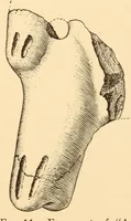 An illustration from Pottery types and their sequence in El Salvador (1927)