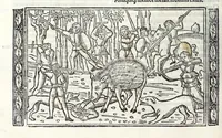 Picture 16 of 33 from P. Ouidii Metamorphosis : cum luculentissimis Raphaelis Regij enarrationibus : quibus cũ alia q̃da[m] ascripta sunt : q̃ in exemplarib[us] antea impressis nom inueniuntur : tum eorum apologia : q̃ fuerant a quibusdam reprehensa (1517), leaf 186