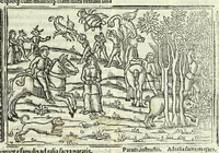 Picture 31 of 33 from P. Ouidii Metamorphosis : cum luculentissimis Raphaelis Regij enarrationibus : quibus cũ alia q̃da[m] ascripta sunt : q̃ in exemplarib[us] antea impressis nom inueniuntur : tum eorum apologia : q̃ fuerant a quibusdam reprehensa (1517), leaf 311
