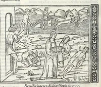 Picture 5 of 33 from P. Ouidii Metamorphosis : cum luculentissimis Raphaelis Regij enarrationibus : quibus cũ alia q̃da[m] ascripta sunt : q̃ in exemplarib[us] antea impressis nom inueniuntur : tum eorum apologia : q̃ fuerant a quibusdam reprehensa (1517), leaf 68