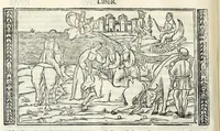 Picture 6 of 33 from P. Ouidii Metamorphosis : cum luculentissimis Raphaelis Regij enarrationibus : quibus cũ alia q̃da[m] ascripta sunt : q̃ in exemplarib[us] antea impressis nom inueniuntur : tum eorum apologia : q̃ fuerant a quibusdam reprehensa (1517), leaf 74