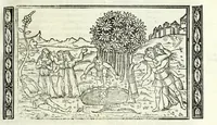 An illustration from P. Ouidii Metamorphosis : cum luculentissimis Raphaelis Regij enarrationibus : quibus cũ alia q̃da[m] ascripta sunt : q̃ in exemplarib[us] antea impressis nom inueniuntur : tum eorum apologia : q̃ fuerant a quibusdam reprehensa (1517)