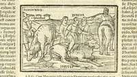 An illustration from P. Ouidij Nasonis Metamorphoseon libri XV (1565)