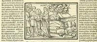 An illustration from P. Ouidij Nasonis Metamorphoseon libri XV (1565)