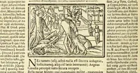 An illustration from P. Ouidij Nasonis Metamorphoseon libri XV (1565)