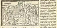 An illustration from P. Ouidij Nasonis Metamorphoseon libri XV (1565)