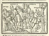 Picture 40 of 63 from P. Ouidij Nasonis Metamorphoseon libri XV (1565), leaf 285