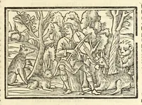 An illustration from P. Ouidij Nasonis Metamorphoseon libri XV (1565)