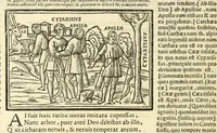 An illustration from P. Ouidij Nasonis Metamorphoseon libri XV (1565)