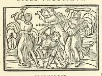 Picture 46 of 63 from P. Ouidij Nasonis Metamorphoseon libri XV (1565), leaf 319