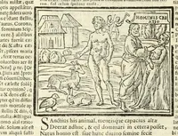 Picture 5 of 63 from P. Ouidij Nasonis Metamorphoseon libri XV (1565), leaf 32