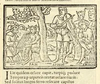 Picture 47 of 63 from P. Ouidij Nasonis Metamorphoseon libri XV (1565), leaf 323