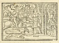 Picture 52 of 63 from P. Ouidij Nasonis Metamorphoseon libri XV (1565), leaf 359
