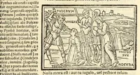 An illustration from P. Ouidij Nasonis Metamorphoseon libri XV (1565)
