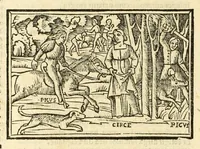 An illustration from P. Ouidij Nasonis Metamorphoseon libri XV (1565)