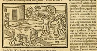 Picture 62 of 63 from P. Ouidij Nasonis Metamorphoseon libri XV (1565), leaf 410