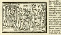 Picture 12 of 63 from P. Ouidij Nasonis Metamorphoseon libri XV (1565), leaf 90