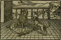 An illustration from Povrtraits divers (1557)
