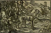 An illustration from Povrtraits divers (1557)