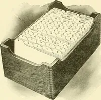 An illustration from Powell's practical advertiser : a practical work for advertising writers and business men, with instruction on planning, preparing, placing and managing modern publicity (1905)