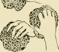 Picture 13 of 81 from Powell's practical advertiser : a practical work for advertising writers and business men, with instruction on planning, preparing, placing and managing modern publicity (1905), leaf 76