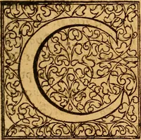 An illustration from Practicae medicinae liber primus [-secundus] (1654)