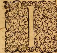 An illustration from Practicae medicinae liber primus [-secundus] (1654)