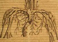 An illustration from Practicae medicinae liber primus [-secundus] (1654)