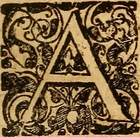 An illustration from Practicae medicinae liber primus [-secundus] (1654)