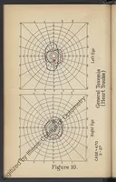 Picture 3 of 7 from Practical guide for charting and interpreting the visual color fields (1928), leaf 61