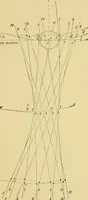 An illustration from The practical application of the slide valve and link motion to stationary, portable, locomotive, and marine engines : with new and simple methods for proportioning the parts (1897)