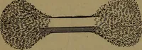 An illustration from Practical applied electricity; a book in plain English, for the practical man. Theory, practical applications and examples (1911)