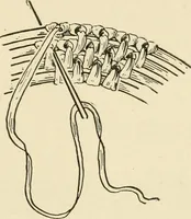 An illustration from Practical and artistic basketry (1904)
