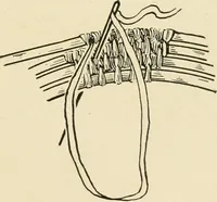 An illustration from Practical and artistic basketry (1904)
