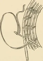 An illustration from Practical and artistic basketry (1904)