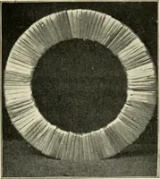 An illustration from Practical and artistic basketry (1904)