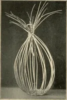 An illustration from Practical and artistic basketry (1904)