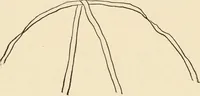 An illustration from Practical and artistic basketry (1904)