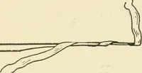 An illustration from Practical and artistic basketry (1904)