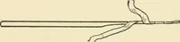 An illustration from Practical and artistic basketry (1904)
