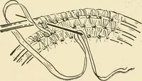 An illustration from Practical and artistic basketry (1904)