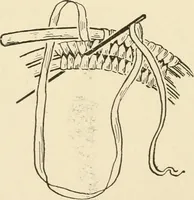 An illustration from Practical and artistic basketry (1904)