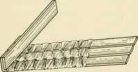An illustration from Practical and artistic basketry (1904)