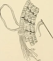 An illustration from Practical and artistic basketry (1904)