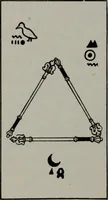 Picture 56 of 101 from Practical astrology : a simple method of casting horoscopes : and language of the stars easily comprehended (1901), leaf 233