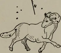 An illustration from Practical astrology : a simple method of casting horoscopes : and language of the stars easily comprehended (1901)