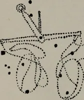 Picture 13 of 101 from Practical astrology : a simple method of casting horoscopes : and language of the stars easily comprehended (1901), leaf 57